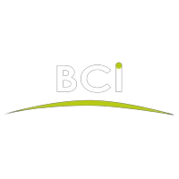 logo-bci-hd__1_-removebg-preview logo-bci-hd__1_-removebg-preview